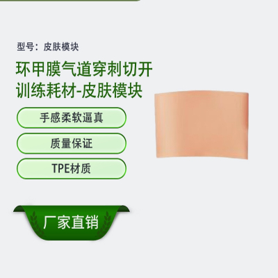 恒则卫勤 高级气道管理模拟人环甲膜气道穿刺切开训练耗材-皮肤模块