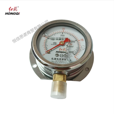 红旗 径向带边耐震压力表检测款YTNT-60 (压力值需备注) 块