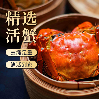 [活蟹]大闸蟹螃蟹3.3两公2.3两母8只装中秋礼盒 精品活蟹河蟹鲜活直发