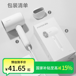 博锐电吹风机家用大功率风筒发廊专用恒温护发宿舍学生电吹风筒PH1621