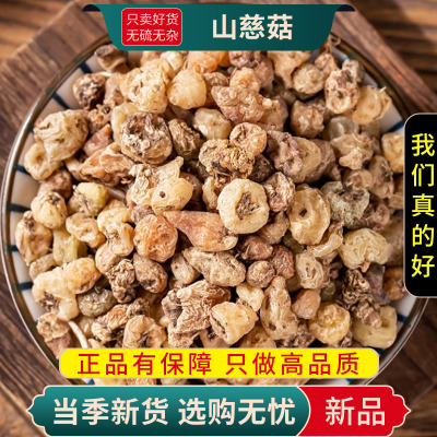 甄选山慈菇100克正品干货冰球子山慈姑茅毛慈菇山茨菇9260