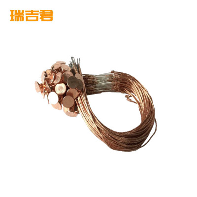 瑞吉君 纽扣熔丝 15A 根