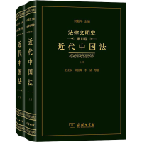 音像法律文明史(1卷):近代中国法王立民,洪佳期,李婧