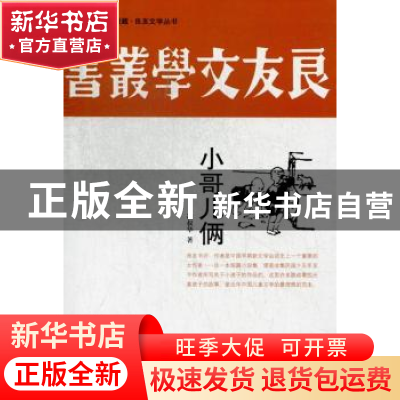 正版 小哥儿俩 凌叔华 中国国际广播出版社 9787507835229 书籍