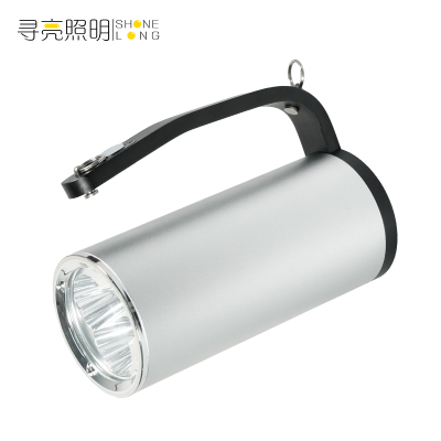 寻亮照明 探照灯 RJW7102 个