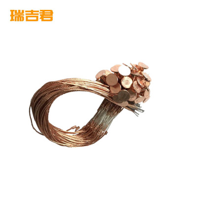 瑞吉君 纽扣熔丝 25A 根