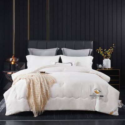 唐纳家纺 甄选大豆纤维抗菌春秋被 200×230cm/2500g- TN-SAQ21025