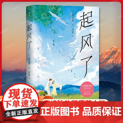 起风了 精装插图版 宫崎骏动画原著小说 知名旅日诗人田原倾情献译 感动无数读者的纯美恋歌 还原日式唯美境界