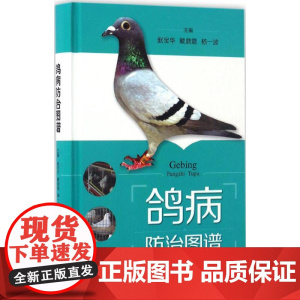 鸽病防治图谱赵宝华,戴鼎震,杨一波 主编WX