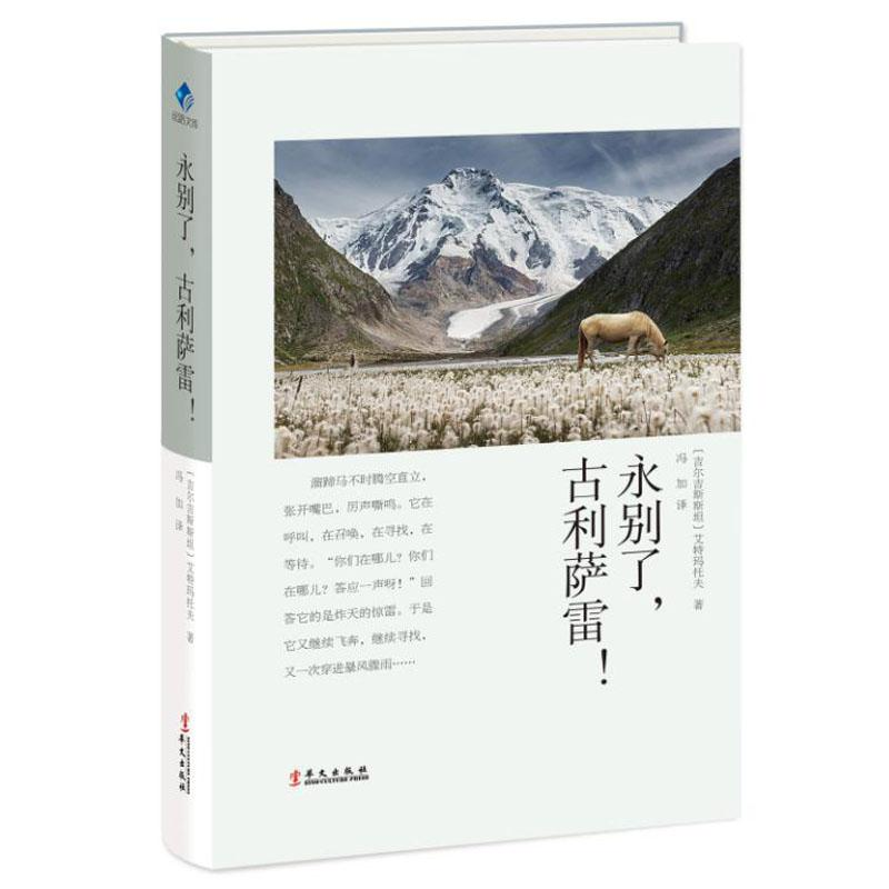 [M]永别了,古利萨雷!-9787507550047