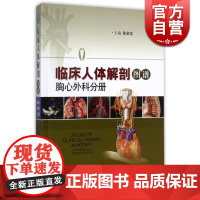 临床人体解剖图谱 胸心外科分册(精装) 陈金宝 编 另有/骨科分册/神经外科分册等 医学参考工具书 正版图书籍 上海科学
