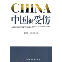 音像中国很受伤金雪军,王义中 主编
