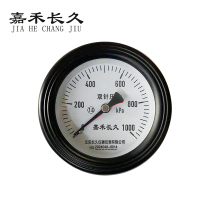 嘉禾长久 轴向双针表 YYS-100Z 24V带灯 台