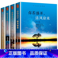[正版]4册万丈光芒的梦想 青春励志小说小学生阅读一 二三四五六 年级课外书儿童文学书籍故事书6-12周岁书排行榜