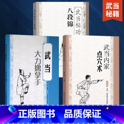 [正版]全3册武当内家点穴术+大力擒拿手+秘功八段锦 徐宏魁点穴书籍点穴绝技武功秘籍实战擒拿散打书易筋经图解自卫搏击健