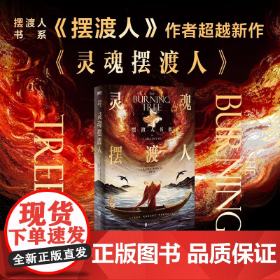 灵魂摆渡人 克莱儿·麦克福尔 著 小说