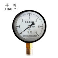 祥屹+膜盒压力表检测定制型+YE100+块