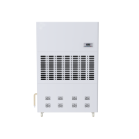 虎光风行 HGFX-7960B 除湿机 (计价单位:台) 白色