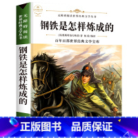 钢铁是怎样炼成的 [正版]配套考试重点故乡 鲁迅原着野草 彷徨全套4册六年级必读课外书鲁迅的书6年级课外阅读书籍老师散文