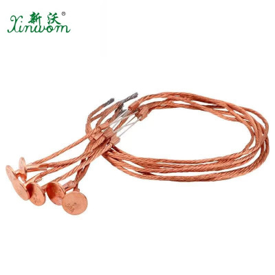 新沃 XINWOM 熔丝 10A 根