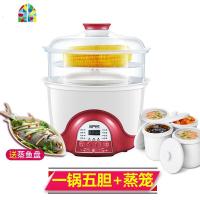 大容量隔水炖锅DZ35C电炖锅全自动煮粥锅迷你燕窝炖盅煲汤锅家用 FENGHOU 石榴红色