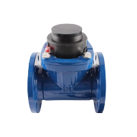 万梓 机械水表 DN80 个