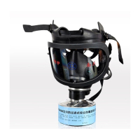 友安 XFZH30型 综合型防毒面具