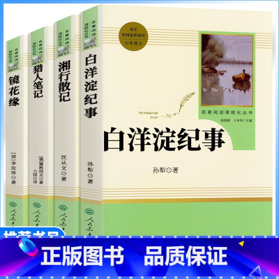4本[七年级上册推荐]白洋淀+湘行散记+猎人笔记+镜花缘 [正版]七年级上册书白洋淀湘行散记猎人笔记镜花缘鲁迅原著无删减