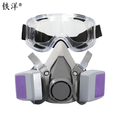 铁洋 呼吸防护面罩 TY-HX021 套