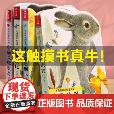 小兔比利触摸书撕不烂婴幼儿早教书儿童绘本0到3岁宝宝书本早教启蒙认知洞洞书一岁宝宝绘本认知书触感0-3岁绘本经典 小熊波