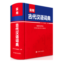 音像实用古代汉语词典汉语大字典编纂处