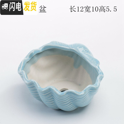 三维工匠创意个性中大小号口径北欧风蓝色家用可爱多肉花盆陶瓷器 浅蓝海贝盆 中等花盆容器