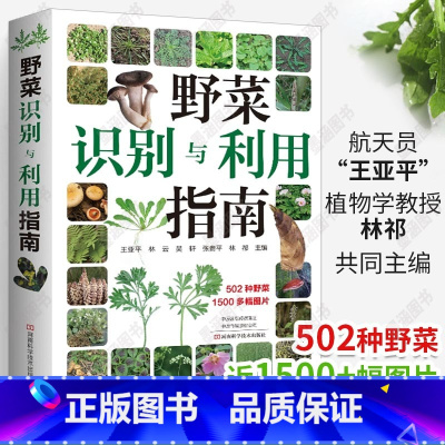 [正版]野菜识别与利用指南常见野菜野外识别速查图鉴野菜书籍大全野菜的食用方法中国野菜百科中国野菜大全野菜的功效大全河南