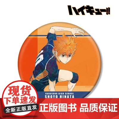 AMNIBUS 排球少年 Ani-Art BIG吧唧徽章Vol.7