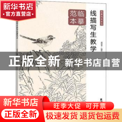 正版 线描写生教学临摹范本 刘明孝 西南大学出版社 978756971374