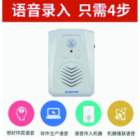 森驰进门感应器可定制语音 充电款