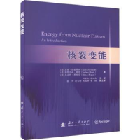 音像核裂变能