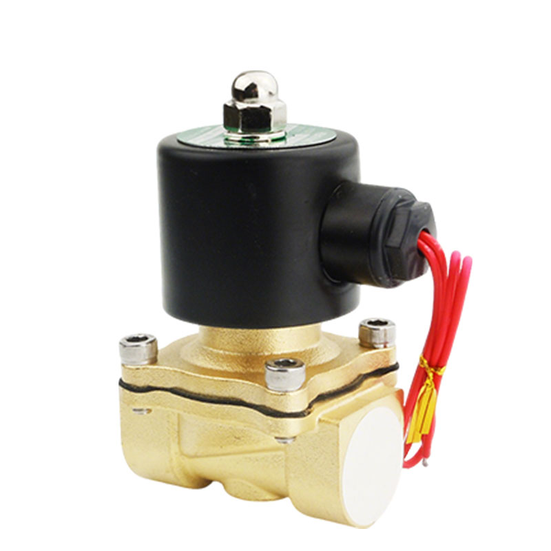 卡西斯顿 水阀电磁阀 2w-259-25 台