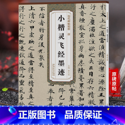 [正版]唐小楷灵飞经墨迹 历代碑帖精粹 简体旁注 放大技法解析 原碑原帖 薛元明编 灵飞经小楷字帖楷书毛笔书法练字临摹