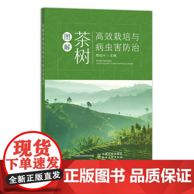 图解茶树高效栽培与病虫害防治 杨如兴 茶园 管理技术 29844