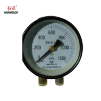 红旗 双针压力表定制检测款 Y100 1200KPA 块