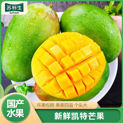 [苏鲜生]精选攀枝花凯特芒 净重9斤 中果 单果250g以上 当季新鲜 热带水果