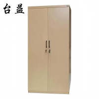 台益 二门板式更衣柜 TY-TWG90 900*500*1980mm 个