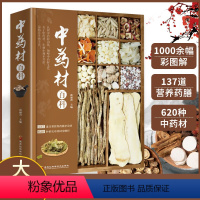 [正版]中药材百科 中医书籍 中草药彩图大全书 李时珍本草纲目黄帝内经 中医养生保健中草药识别百科全书