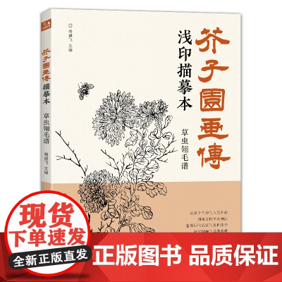芥子园画传浅印描摹本草虫翎毛谱 中国画入门零基础教程书籍白描