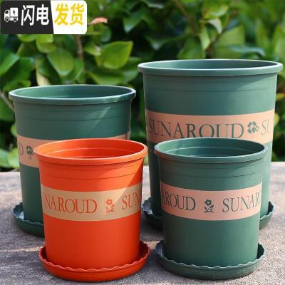 三维工匠塑料树脂矮胖加仑花盆加厚绿萝月季多肉特大号口径 高款(绿色)3加仑[5个装] 含托盘花盆容器