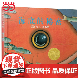 童书 海底的秘密 凯迪克金奖绘本 一场奇思妙想的旅程 精装3-6-8岁幼儿园一二年级上下册快乐读书吧儿童早教启蒙睡前故