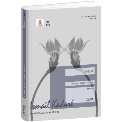 [M]三孔桥-9787536076068