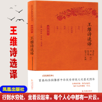 音像王维诗选译/古代文史名选译丛书(珍藏版)/邓安生 译注