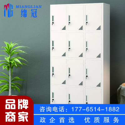 绵冠更衣柜员工柜带门锁铁皮柜储物柜职员柜浴室柜 十二门更衣柜